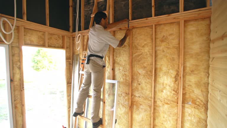 Best Wall Insulation Installation  in Suffolk, VA